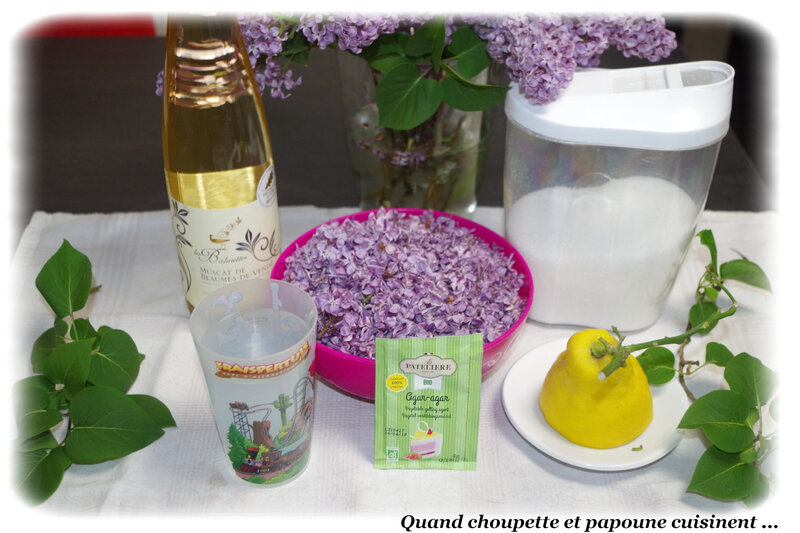 gelée de fleurs de lilas-2869