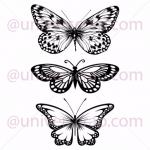 Trio de papillons