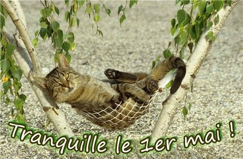 tranquille-le-premier-mai