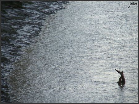 Garonne