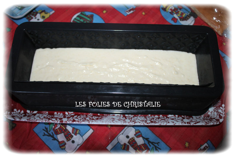 Bûche exotique 7