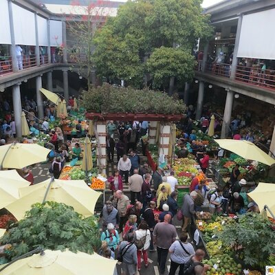 Mercado dos Lavradores (9)