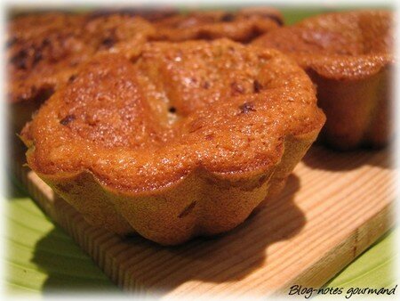 recettes dessert FONDANT COULANT AUX DEUX CHOCOLATS ET A LA COCO