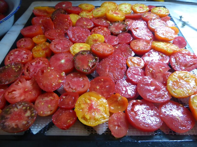 30-tomates séchées (3)