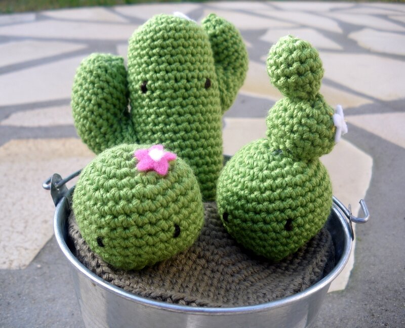 Cactus crochet (3)