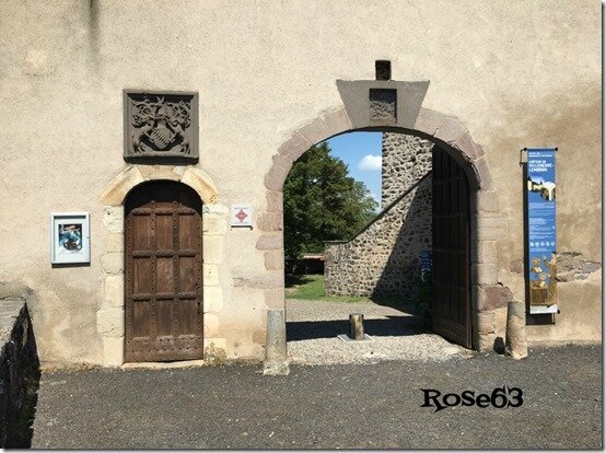 Rose63 (2)