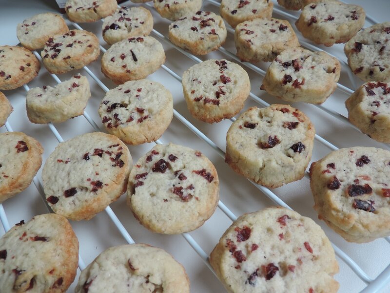 biscuits aux cranberries (14)