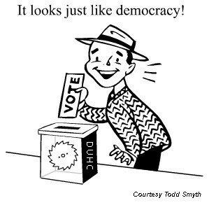 democracy1