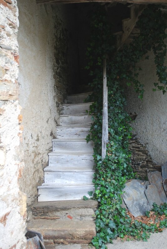 escalier 1