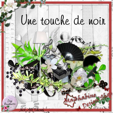 une_touche_de_noir