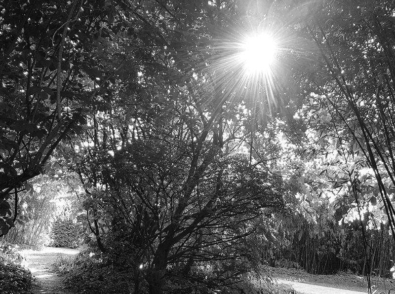 20170420_175843[1]