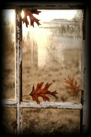 automne