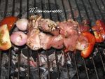 Brochettes_aux_f_ves_et_Bonnottes_011