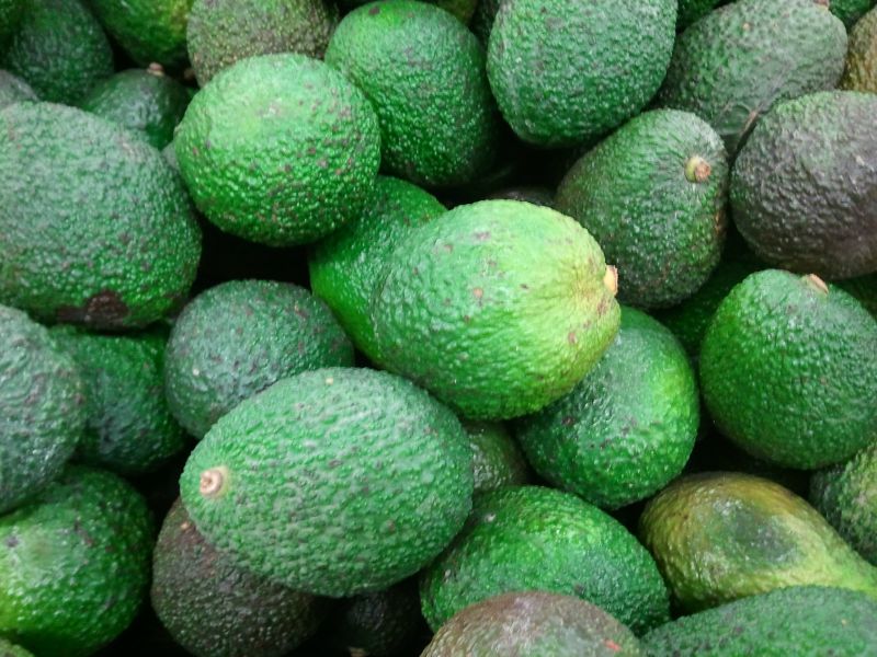 avocats