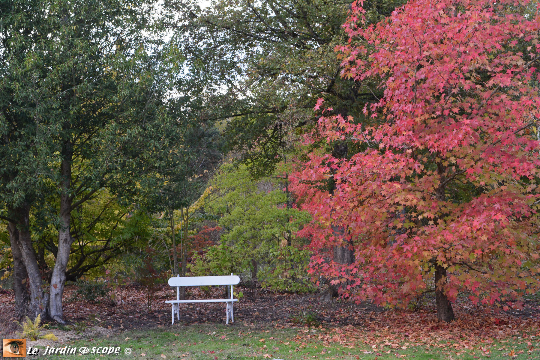 petit banc blanc dans le jardin de Berville
