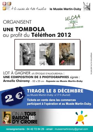 affiche telethontombola2012
