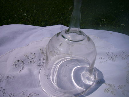 P1150239