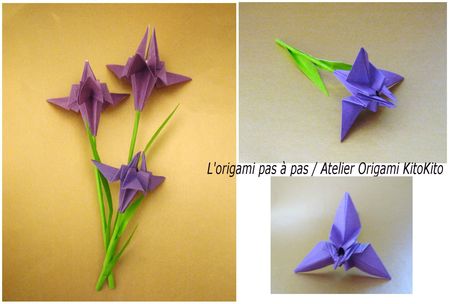 Atelier Origami KitoKito Iris
