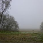 2012-12-018