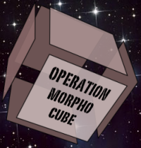 operation_MorphoCube