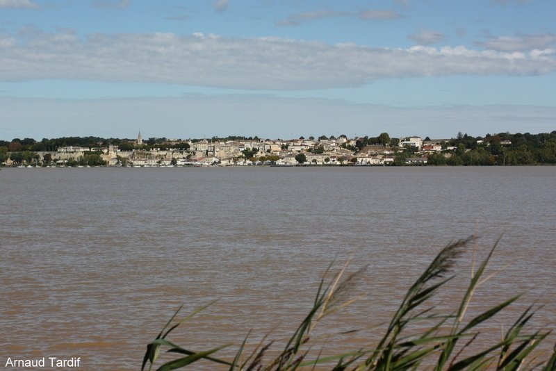 00852 Estuaire de la Gironde - Rive Gauche et le Bec d'Ambès - Bourg-sur-Gironde vue depuis Le Mayne