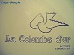 colombe_d_or