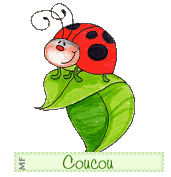 COUCOU_COCCINELLE