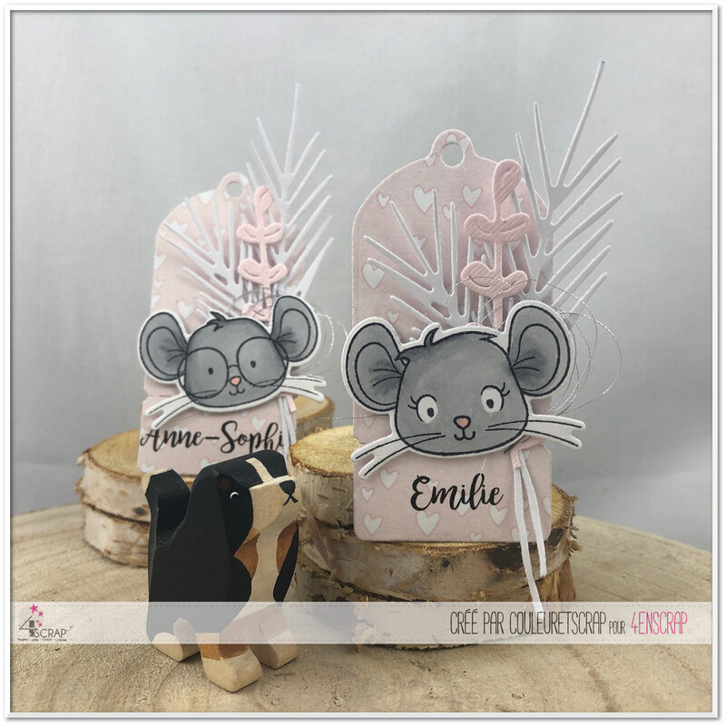 Couleuretscrap_pour_4enscrap_J1_carte_naissance_étiquette_Emilie