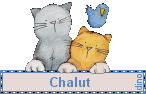 chat2