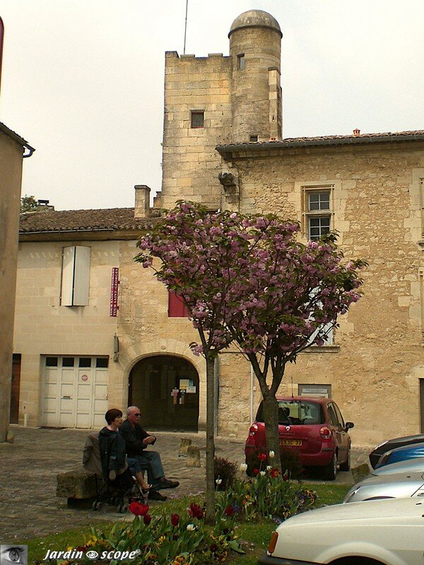Place de la Tour St-Georges à SAINT-EMILION (33)