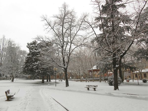 neige (6) 15 janv 2013