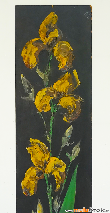 TABLEAU-PIERRE-PIGET-Iris-2-muluBrok