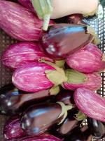 aubergines