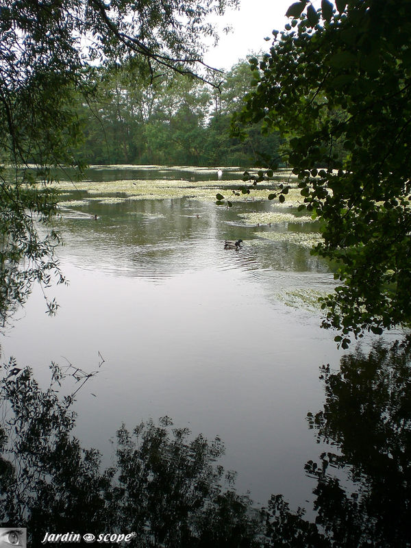 Reflets du Loiret à Saint-Hilaire-st-Mesmin (45)