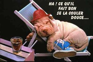 repos