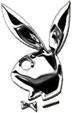 bunny_gris