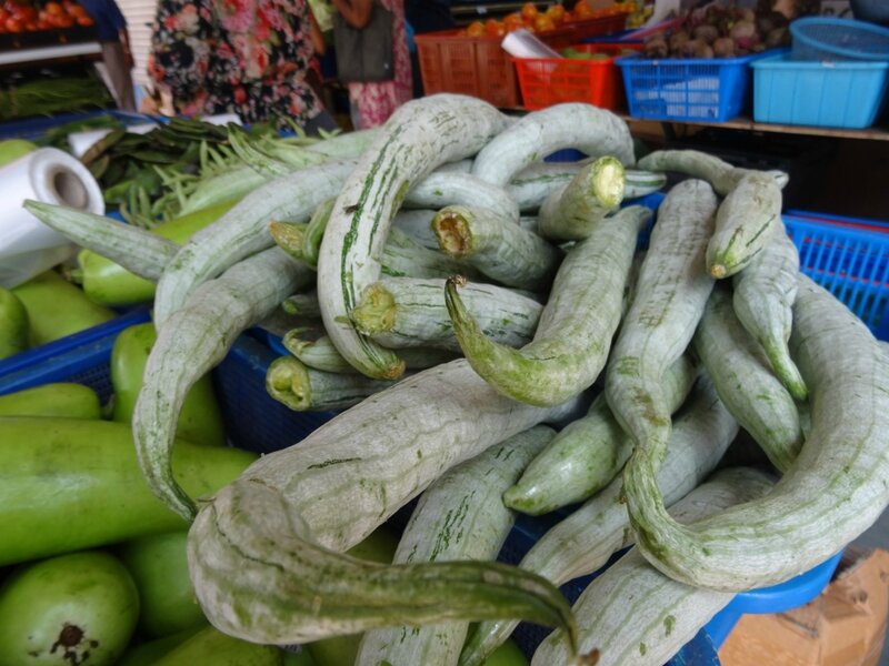 Concombres_recroquevillés
