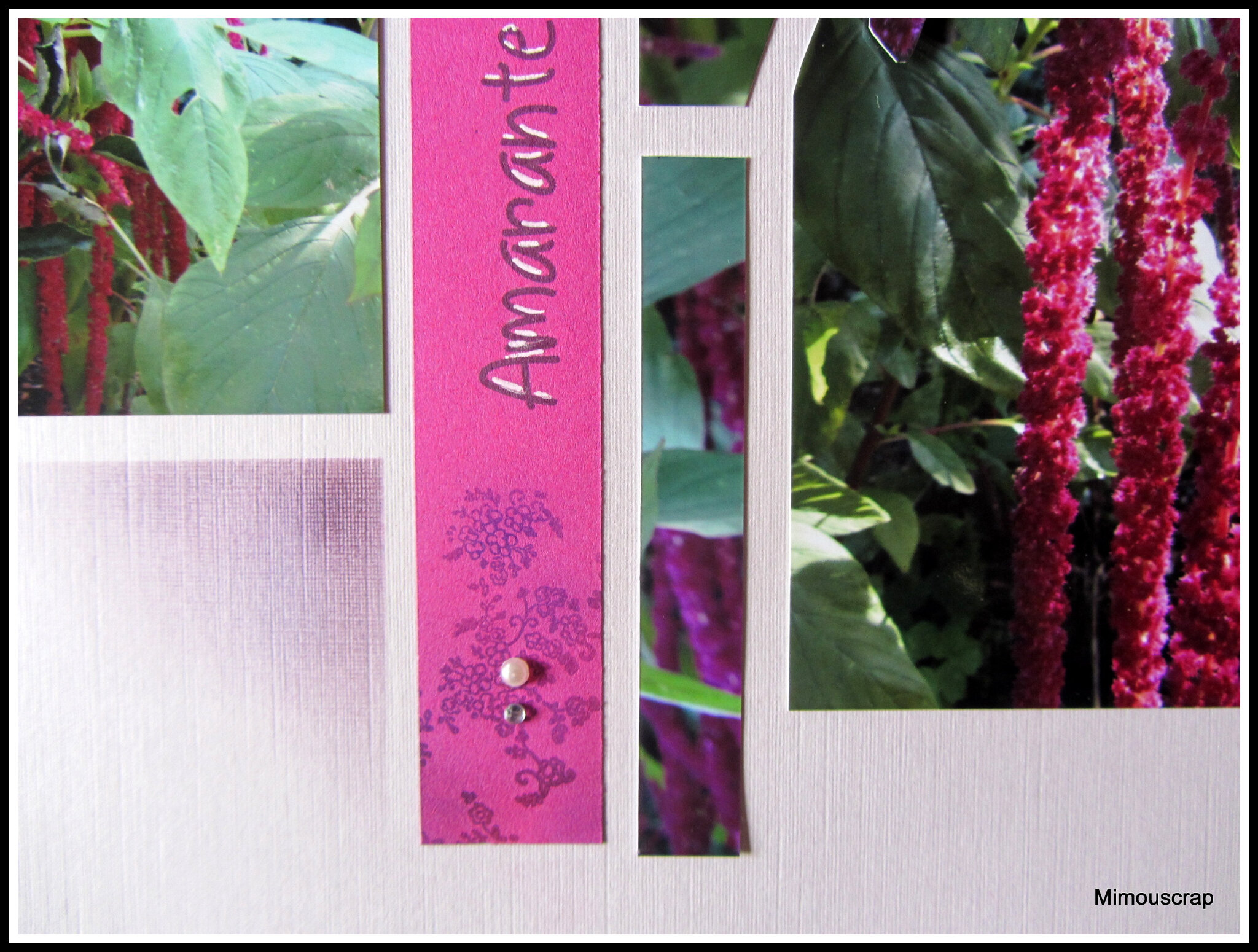 Jardin 2016 085