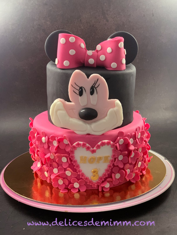 Gâteau Minnie Hope 2