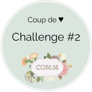 Macaron-coup-de-coeur-2-320x320