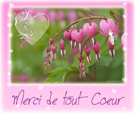 merci-coeur