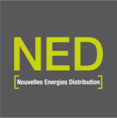logo_NED_fondgris