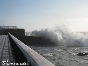Mer_d_cha_n_e_vendredi_23
