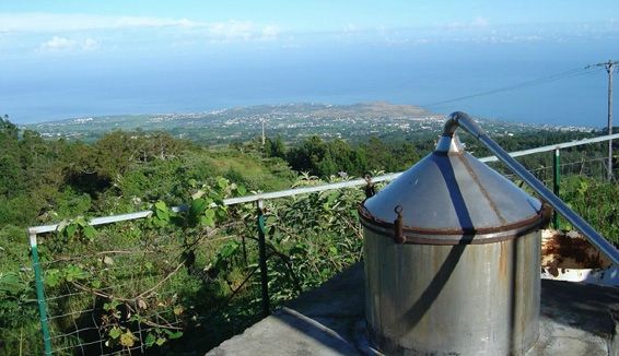 distillerie du maido