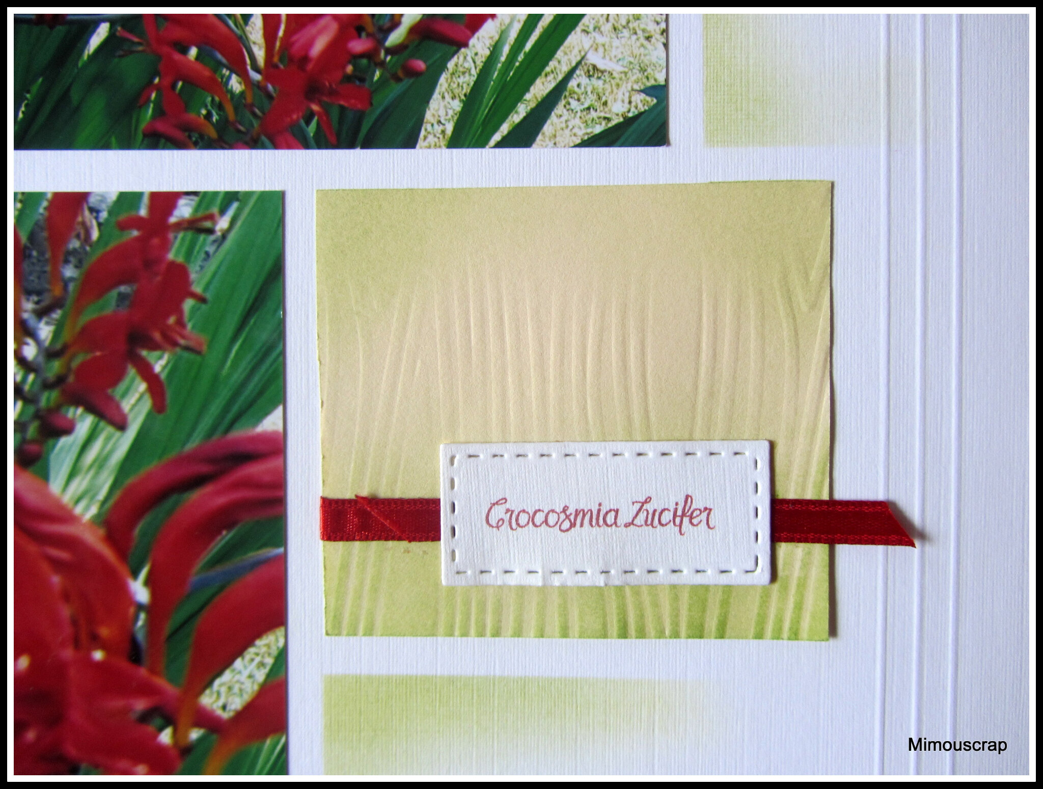 Jardin 2016 130