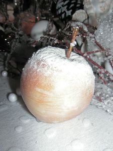 noël blanc, pomme 010_modifié-1
