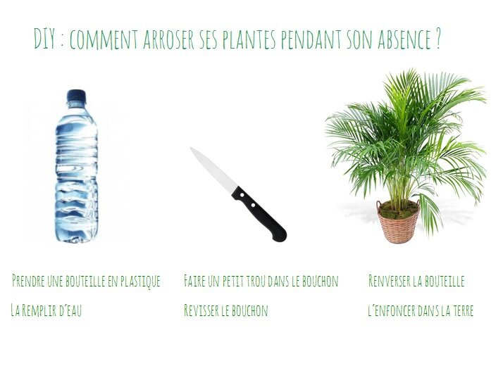 arroser_plantes