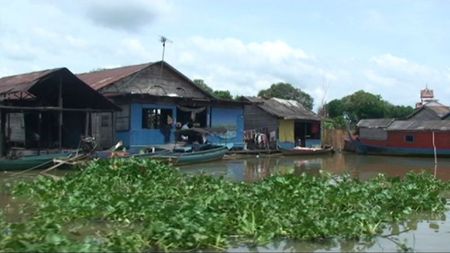 lac tonlé sap_jacinthe d'eau_03