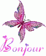 bonjour-569