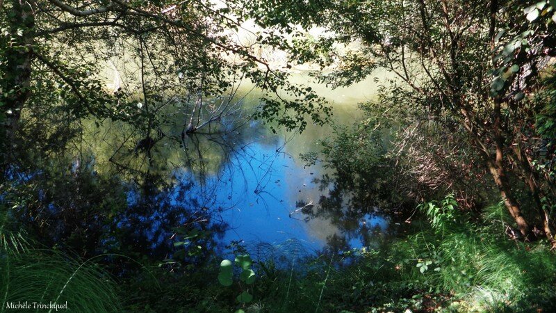 Etang de la Marnière 070816